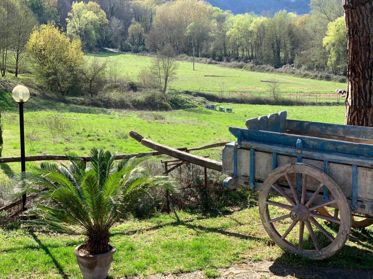 Villa Poggio Di Gaville Meleto Екстериор снимка
